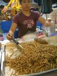 Bamboo worms in Chiang Mai Thailand. Copyright SeatofourPants.com