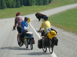 Riding Alongside the Wild Bison. Copyright FamilyOnBikes.org