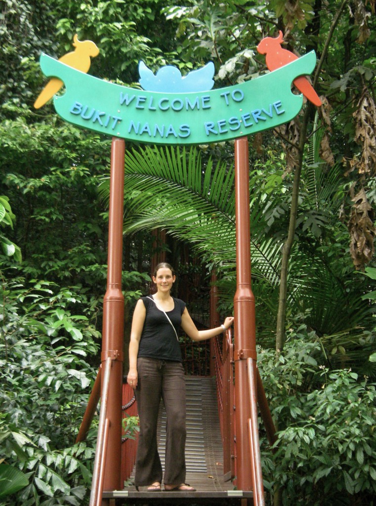 Kuala Lumpur, Bukit Nanas Reserve, career break travel adventures in Malaysia