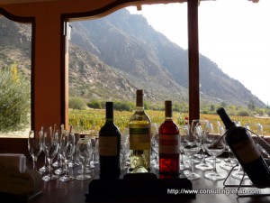 In the wine country in Mendoza, Argentina. Copyright ConsultingRehab.com